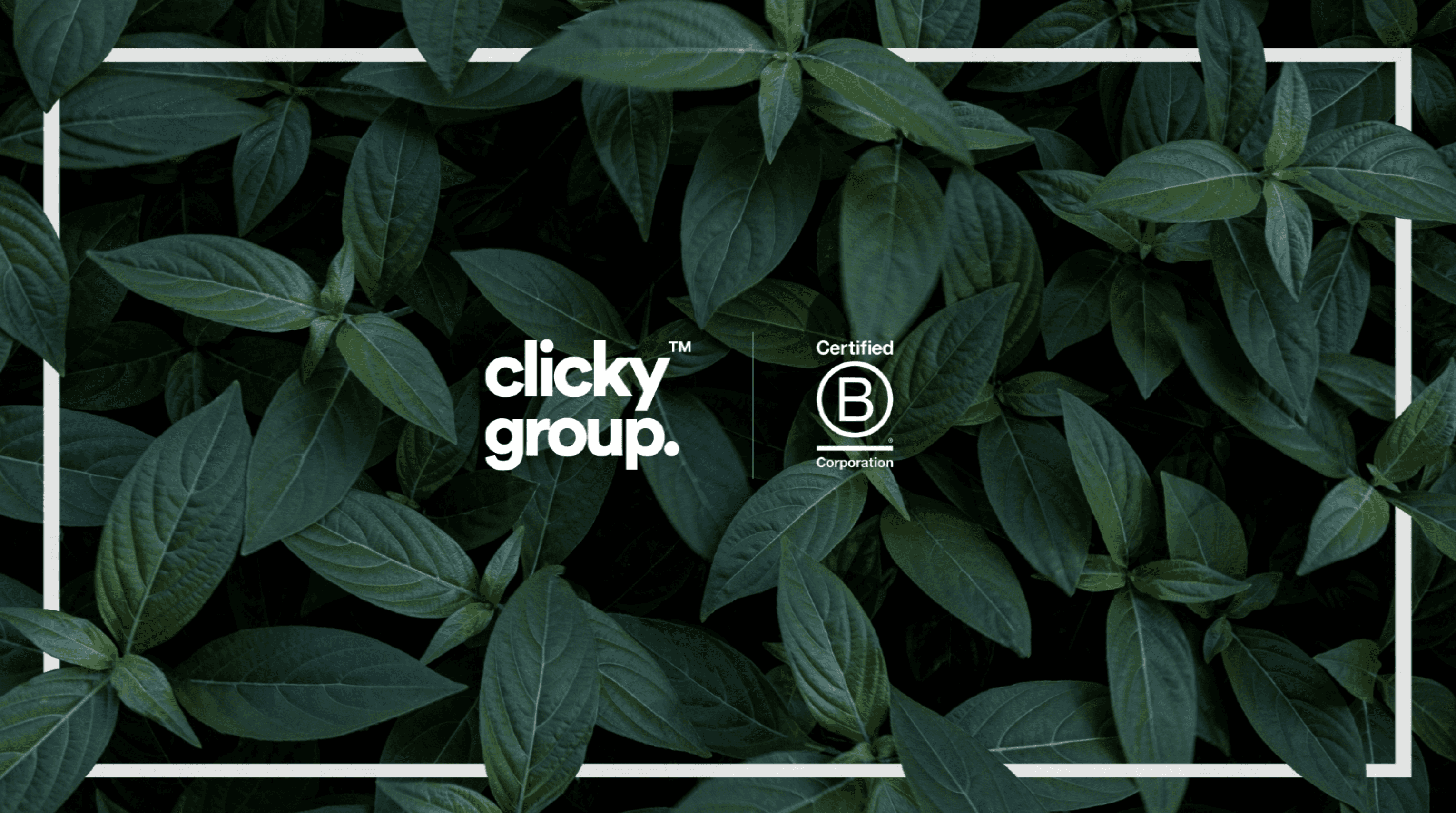 Clicky's BCorp impact statement for 2024