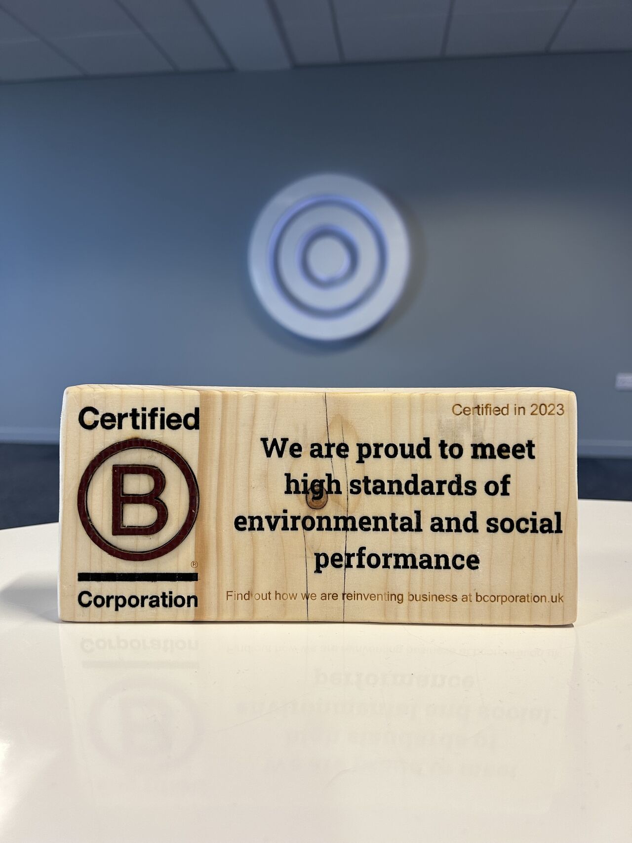 Celebrating B Corp Month! 🌍