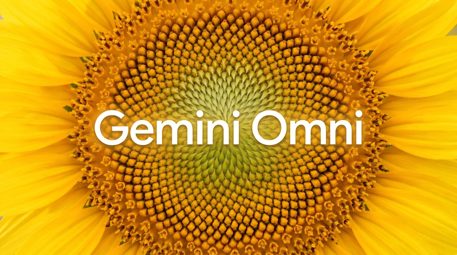 Google Omni: our honest take, and how we'd actually use it for clients